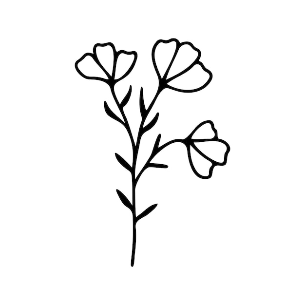 Hand drawn herbal floral clipart One line doodle vector