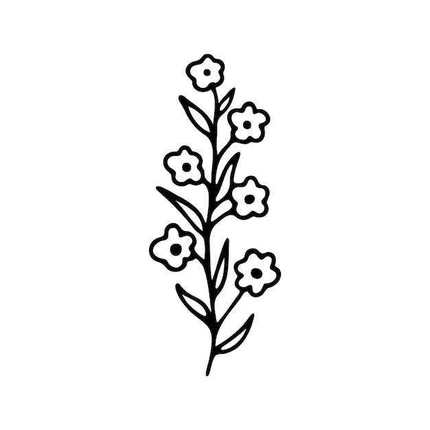 Hand drawn herbal floral clipart One line doodle vector