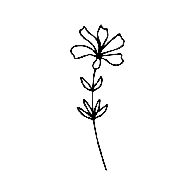 Hand drawn herbal floral clipart One line doodle vector