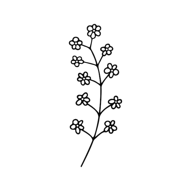 Hand drawn herbal floral clipart One line doodle vector