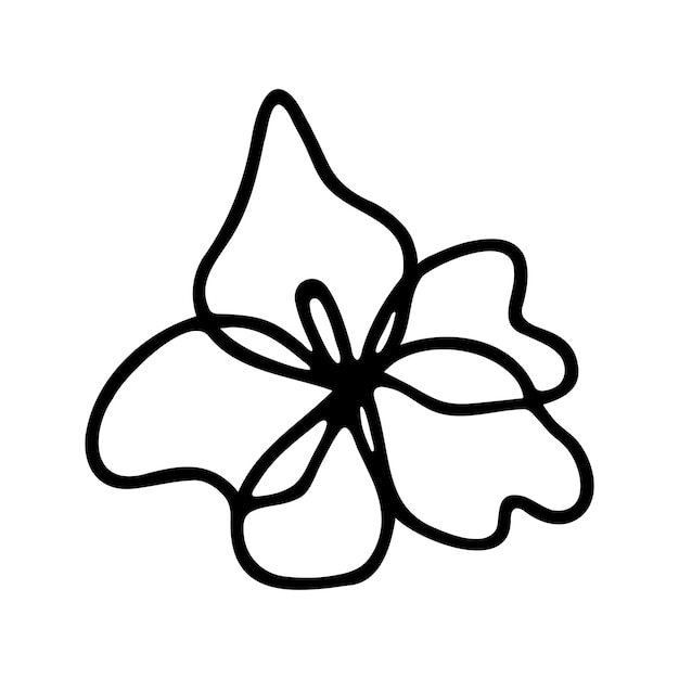 Hand drawn herbal floral clipart One line doodle vector