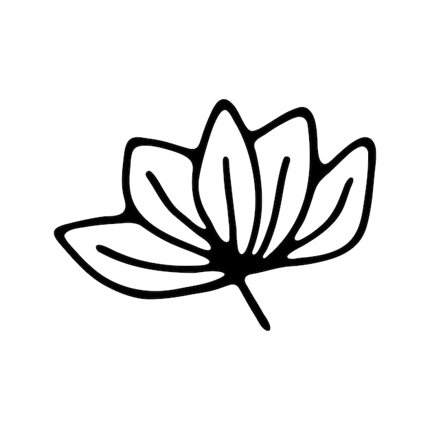 Hand drawn herbal floral clipart One line doodle vector