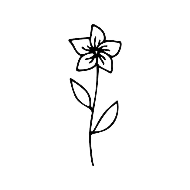 Hand drawn herbal floral clipart One line doodle vector