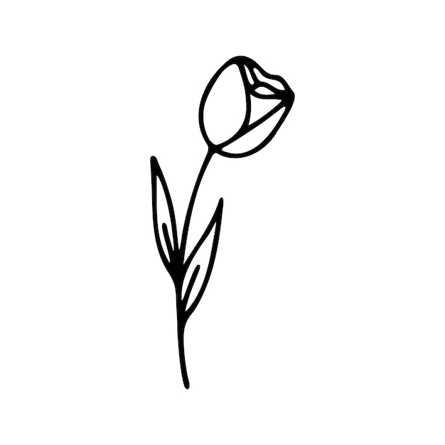 Hand drawn herbal floral clipart One line doodle vector