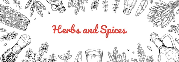 Hand drawn herbs and spices design. Vector illustration