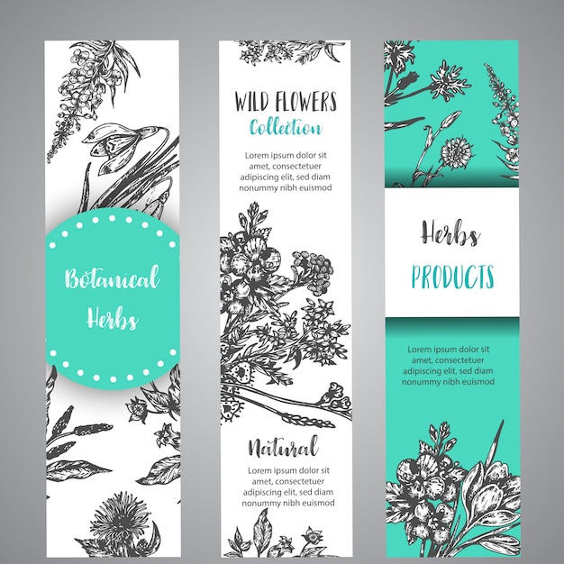 Hand drawn herbs and wild flowers banners