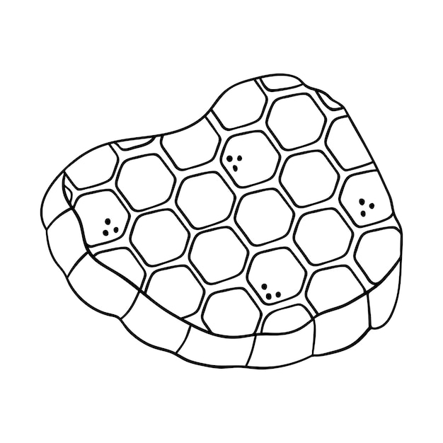 Hand drawn honeycomb