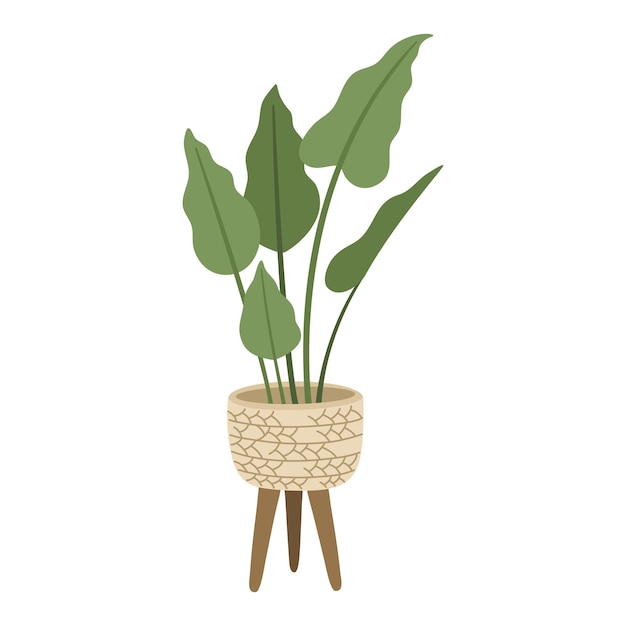 Hand drawn house plant in modern pots flower in Scandinavian style cozy home decoration for trendy interior Vector illustration isolated on white background