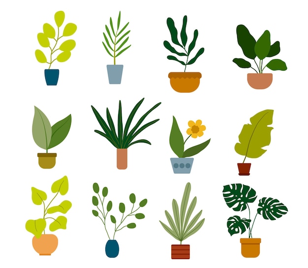 Hand drawn house plants in pots.