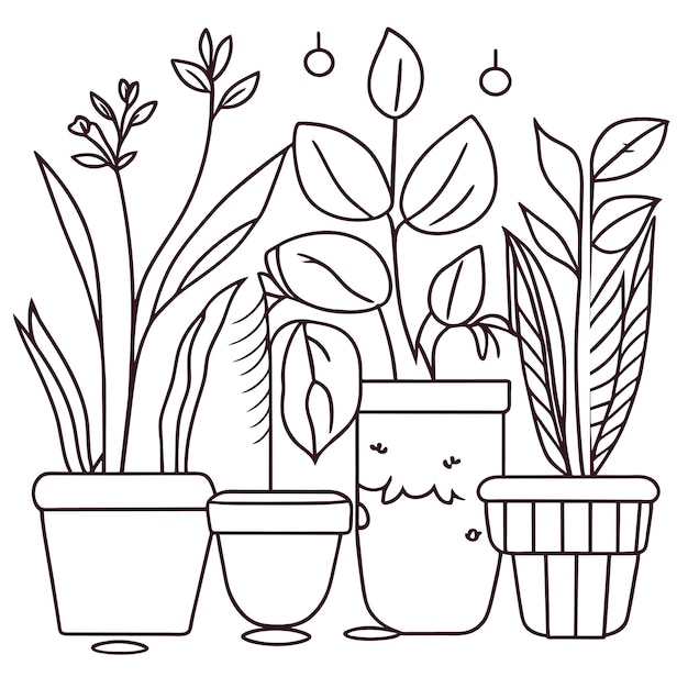 Vector hand drawn houseplant collection or collection of beautiful houseplants in pots