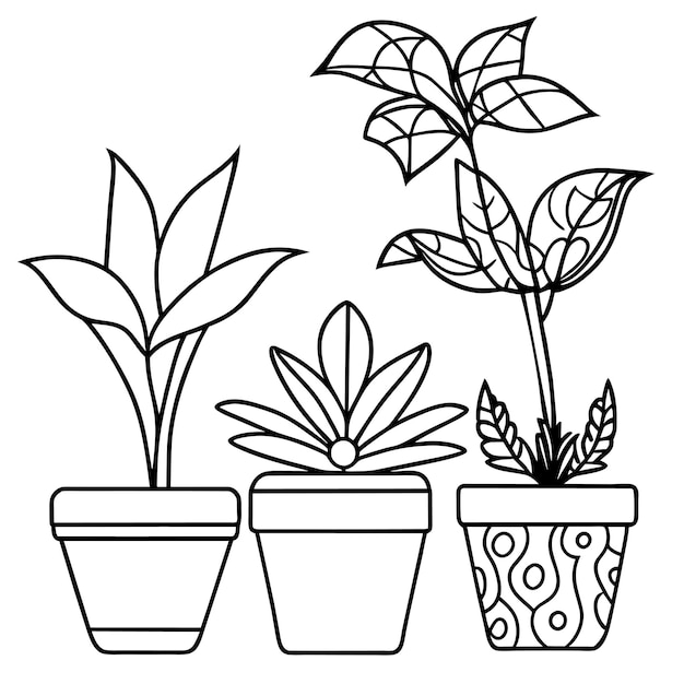 Hand drawn houseplant collection or Collection of beautiful houseplants in pots