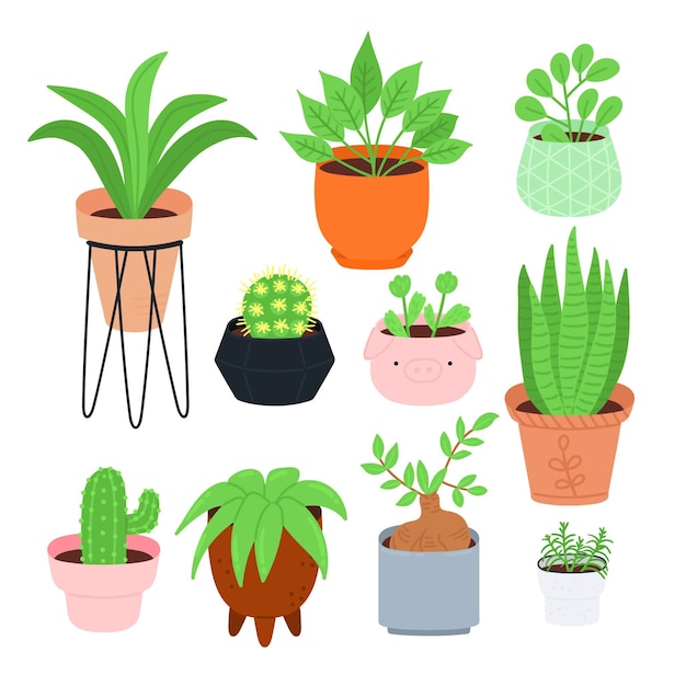 Hand drawn houseplant collection