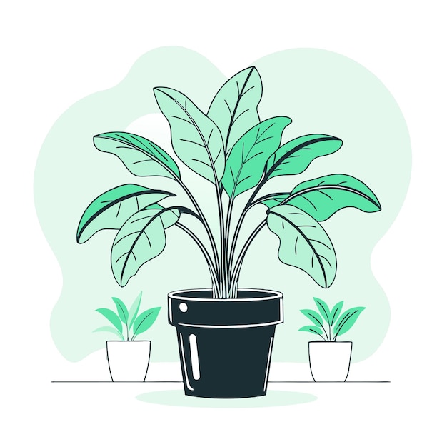 Hand drawn houseplant isolated