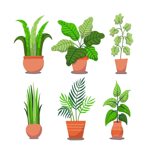 Hand drawn houseplants in pot collection