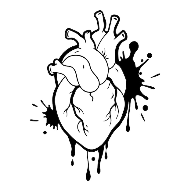 Hand drawn human heart Anatomical realistic dripping heart line art sketch vector illustration 18