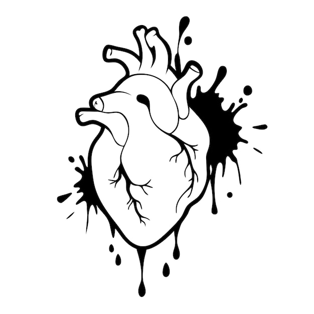 Hand drawn human heart Anatomical realistic dripping heart line art sketch vector illustration 21