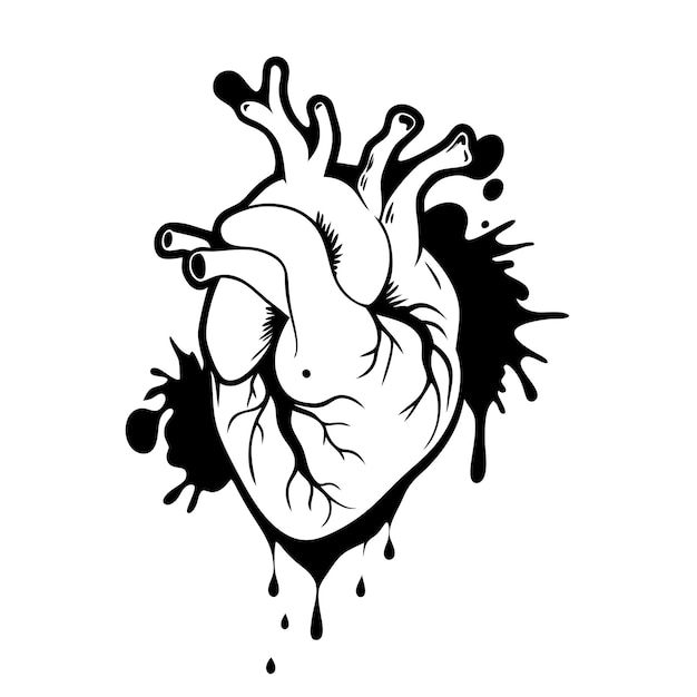 Hand drawn human heart Anatomical realistic dripping heart line art sketch vector illustration 5