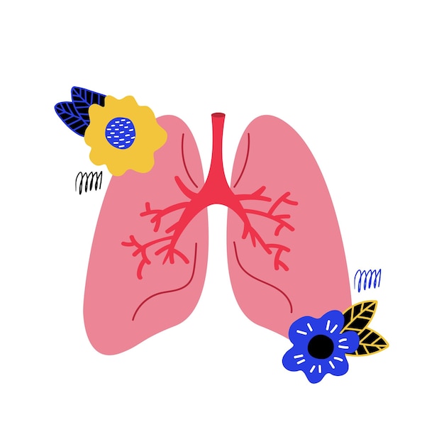 Hand-drawn human lungs. Vector flower elements isolated on a white background. Pulmonology.