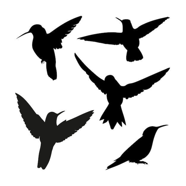 Hand drawn hummingbird silhouette