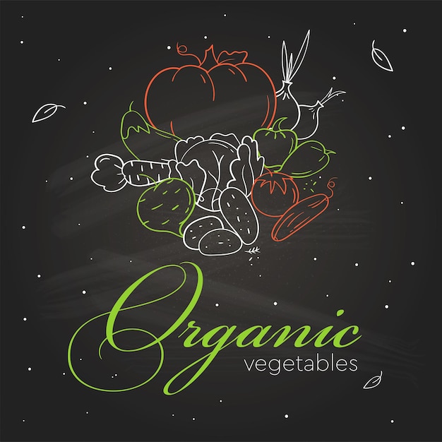 Vector hand drawn icons of organic vegetables on blackboard