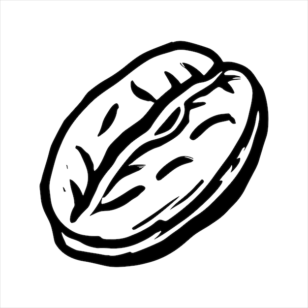 hand drawn illustration of coffee bean