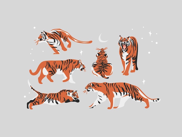 Vector hand drawn    illustration collection set with wildlife tigers