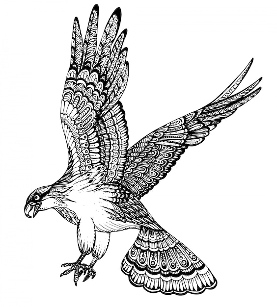 hand drawn illustration of decorative eagle