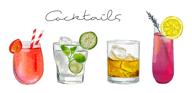 Hand drawn illustration of set of cocktails.