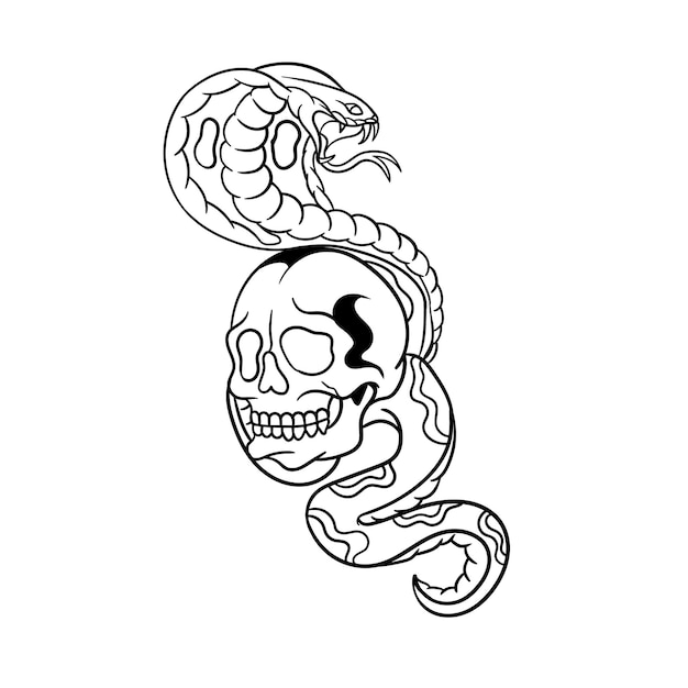 Vector hand drawn illustration of skull and snake outline