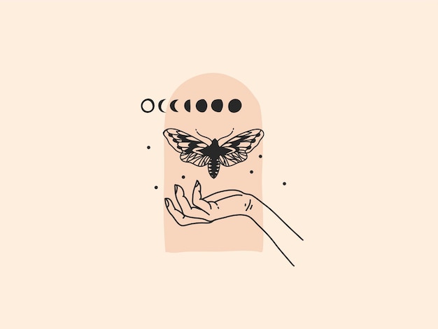 Hand drawn       illustration with feminine logo elements , butterfly,  moon phase