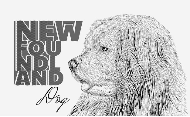 Hand drawn illustration with newfoundland dog abstract brush vectorjpg