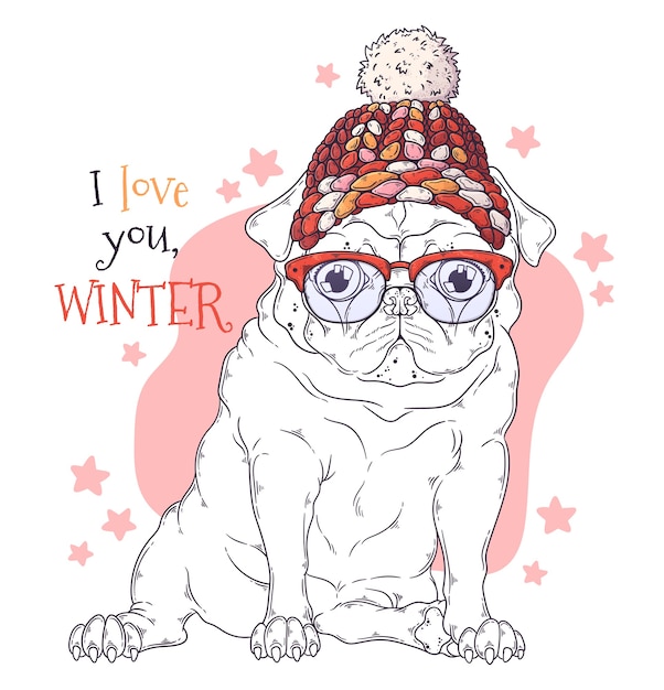  hand drawn illustrations. Portrait of cute pug dog in Christmas accessories.