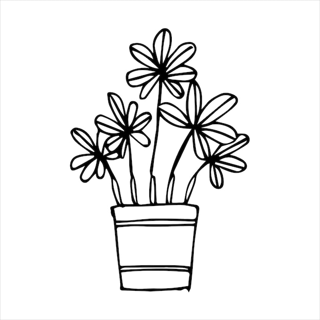 Hand drawn indoor plant in a pot doodle design Home plants Illustration