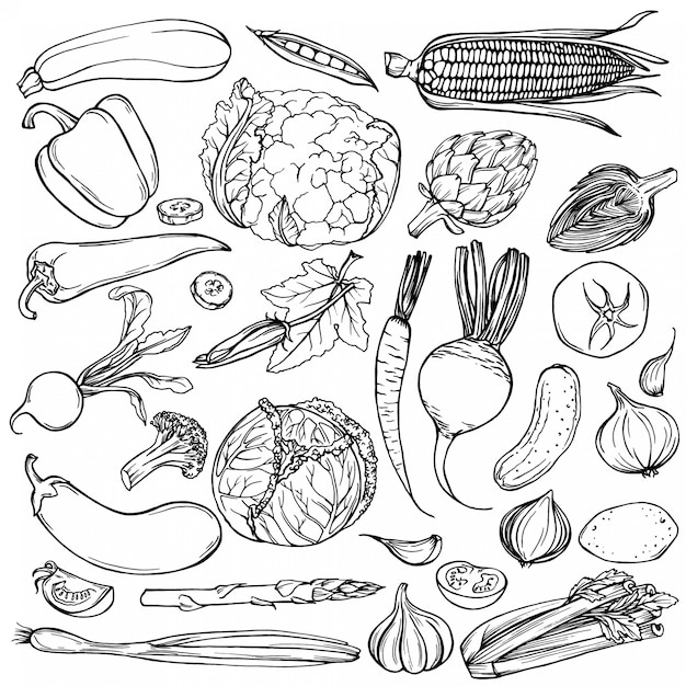 Hand drawn ink sketch. Set of various vegetables. 