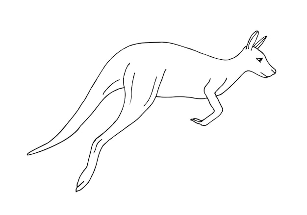 Hand drawn kangaroo isolated on white background