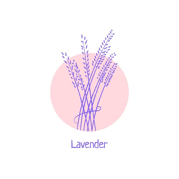 Hand drawn lavender logo isolated on white