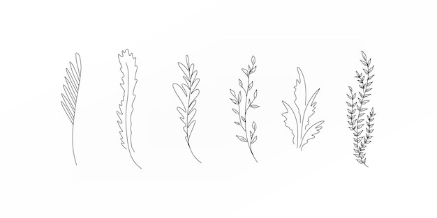 Hand drawn leaves branches set illustration