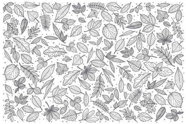 Hand drawn Leaves doodle set