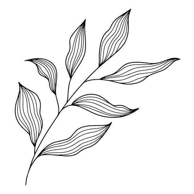 Hand drawn leaves in engraved line art style