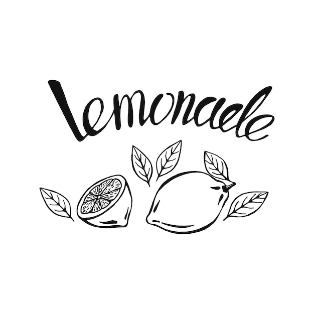 Hand drawn lemon, lemon slice. The inscription on the lemonade, summer  illustration. Vector sketch illustration for print, web, mobile, infographics on white background.