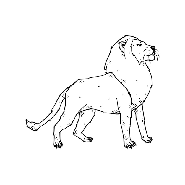 Hand drawn lion in doodle style sketch