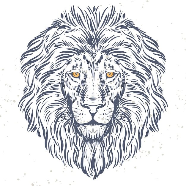 Hand drawn lion head illustration