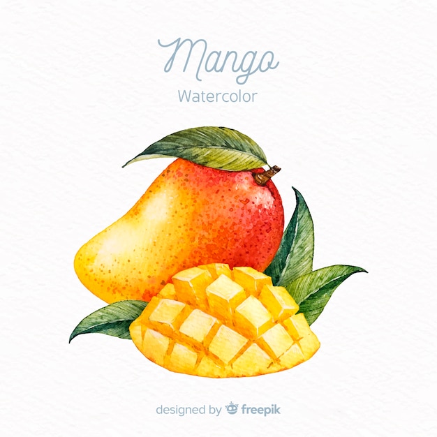 Hand drawn mango background