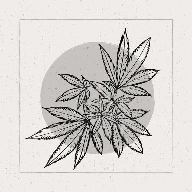 Vector hand drawn marijuana leaf outline illustration