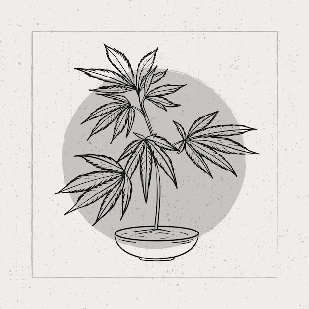 Hand drawn marijuana leaf outline illustration