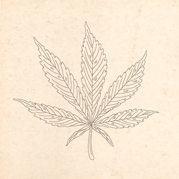 Hand drawn marijuana leaf outline illustration