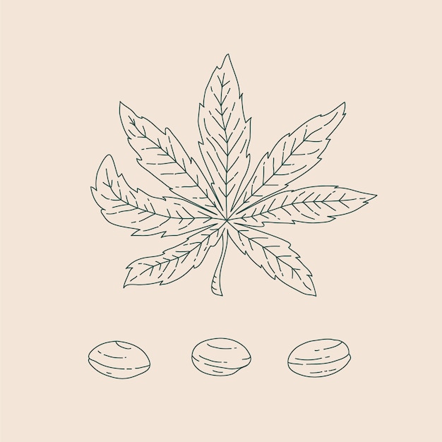 Vector hand drawn marijuana leaf outline illustration