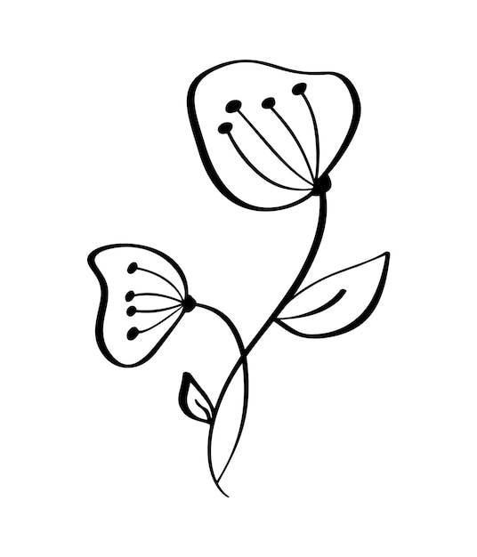 Hand drawn modern flowers drawing and sketch floral with lineart vector illustration wedding design