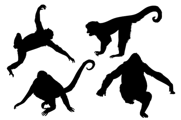 Hand drawn monkey  silhouette collection