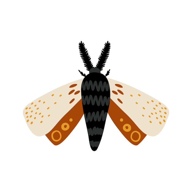 Hand drawn moth in flat style children's illustration